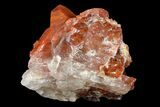 Natural, Red Quartz Crystal Cluster - Morocco #161052-1